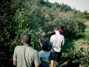 263784_10150340634549867_553589866_10055462_6790666_n